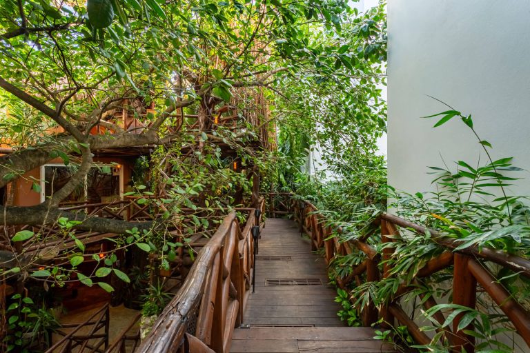 coliving-casa-kabil-Estudio-fantasia-001