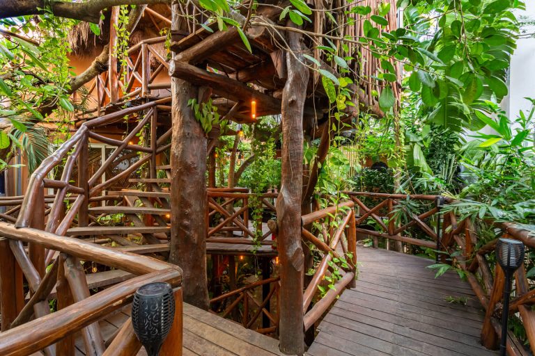 coliving-casa-kabil-Estudio-fantasia-002