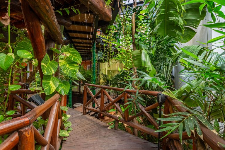 coliving-casa-kabil-Estudio-fantasia-003