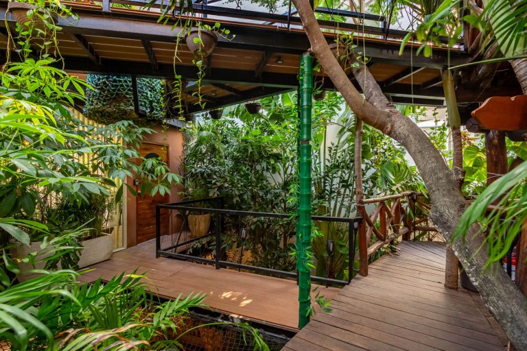 coliving-casa-kabil-Estudio-fantasia-007