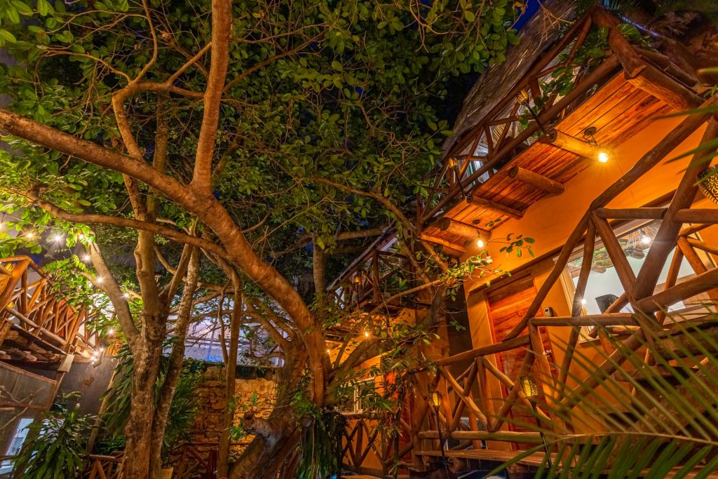 tree-house-casa-kabil-areas-comunes-2-017